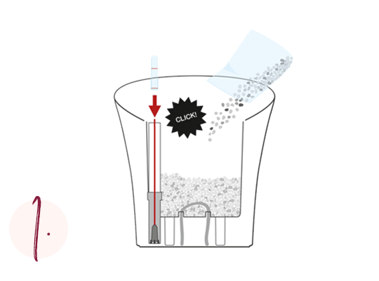 Repotting orchids Step-by-step guide Step 1